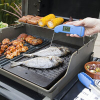 Liha-sisetermomeeter ETI THERMAPEN® ONE hall